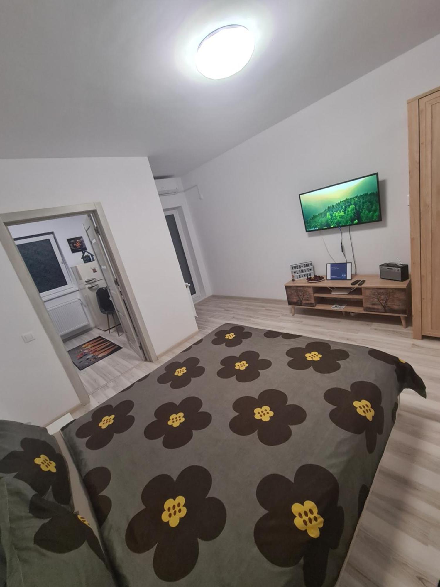 Siriului Studio Bucureşti Exterior foto